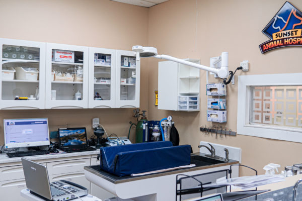 Ultrasound & Dental Area